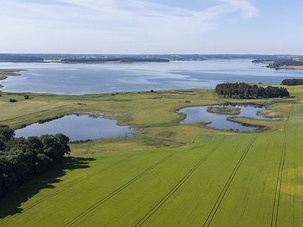 Bredvig Sø er lavet som et kvælstofvådområde